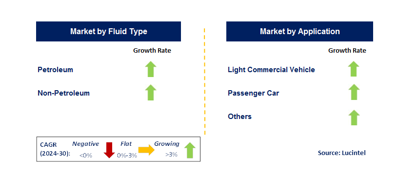 Brake Fluid by Segment